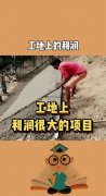 从业似乎是一个不错的选择
