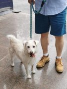 通过以上这些方面