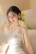 按照二十届中次全会摆设
